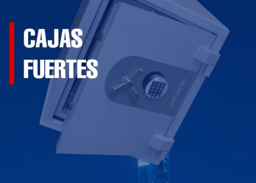 Cajas fuertes camufladas Cajas fuertes camufladas